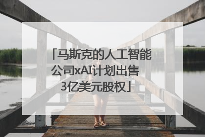 马斯克的人工智能公司xAI计划出售3亿美元股权